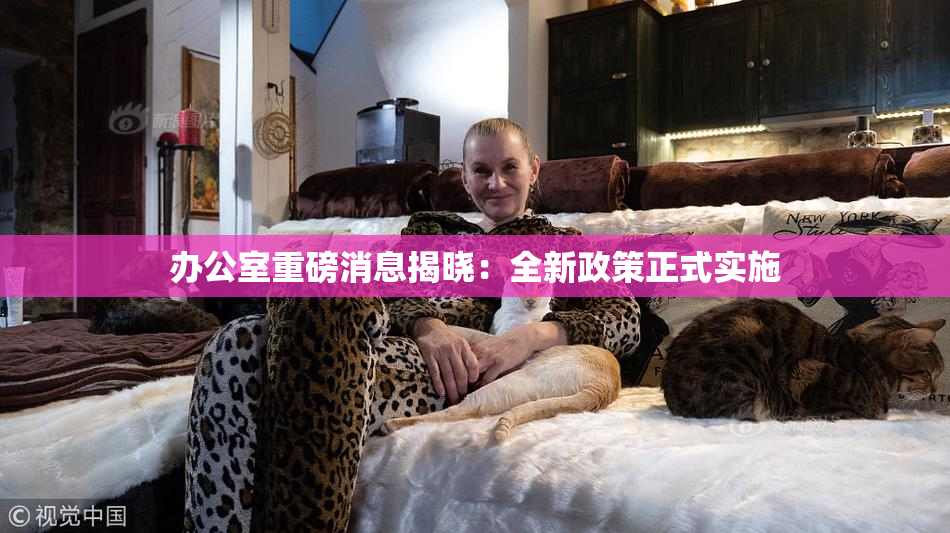 办公室重磅消息揭晓：全新政策正式实施