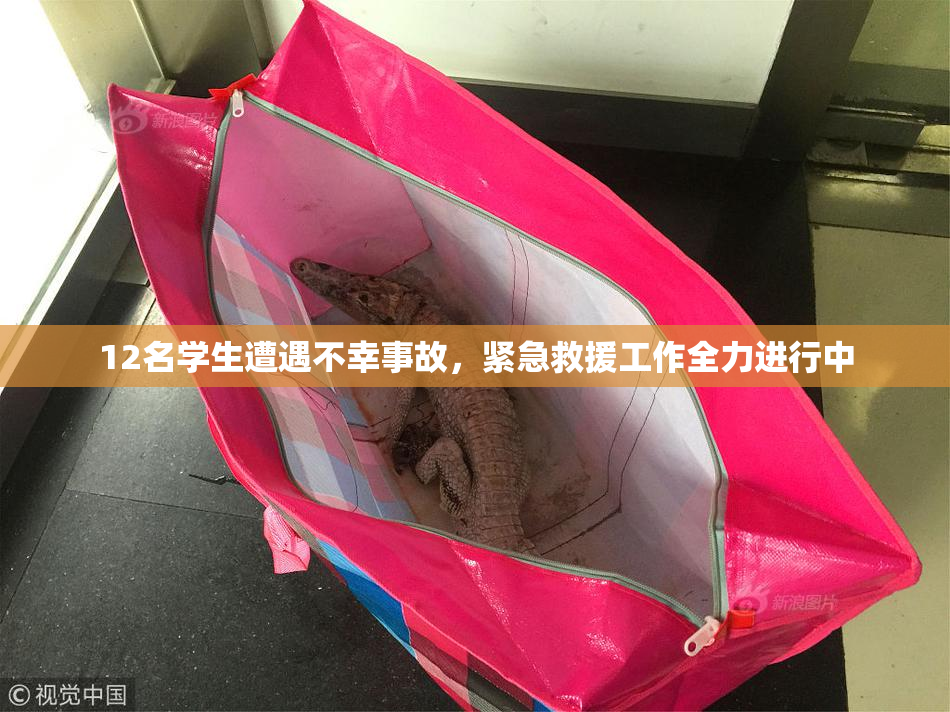 12名学生遭遇不幸事故，紧急救援工作全力进行中