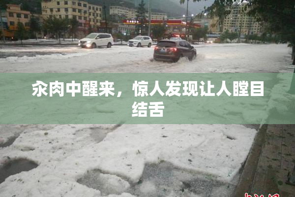 汆肉中醒来，惊人发现让人瞠目结舌