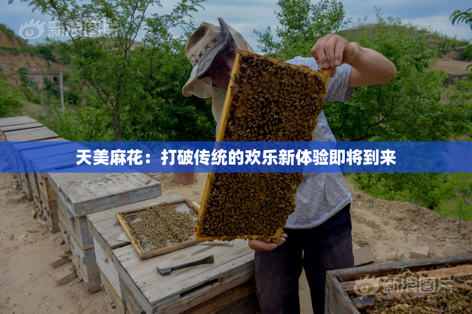 天美麻花：打破传统的欢乐新体验即将到来