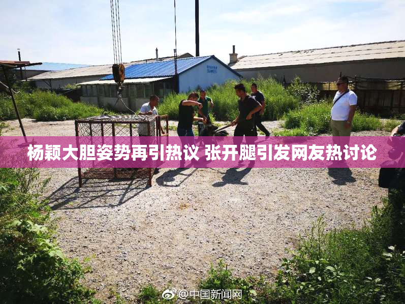 杨颖大胆姿势再引热议 张开腿引发网友热讨论