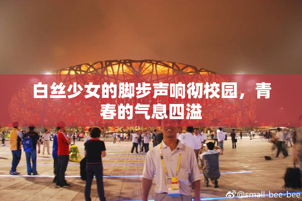 白丝少女的脚步声响彻校园，青春的气息四溢