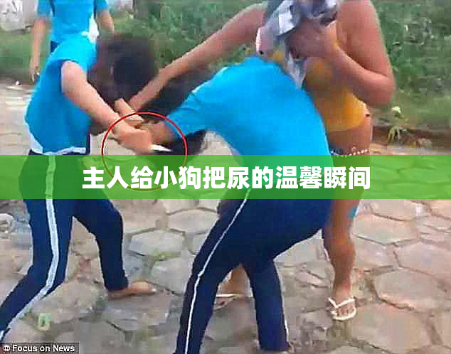 主人给小狗把尿的温馨瞬间