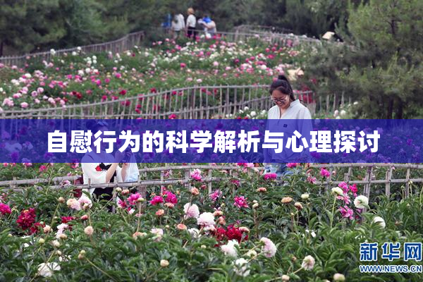 自慰行为的科学解析与心理探讨