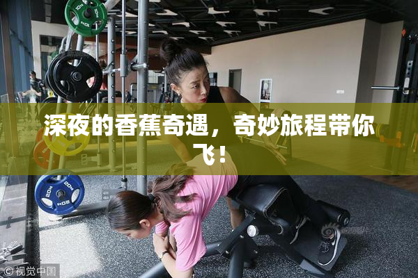 深夜的香蕉奇遇，奇妙旅程带你飞！