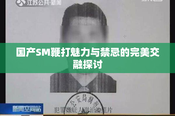 国产SM鞭打魅力与禁忌的完美交融探讨