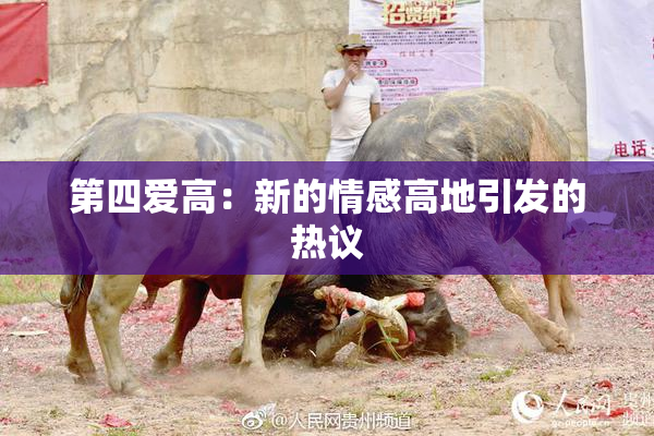 第四爱高：新的情感高地引发的热议