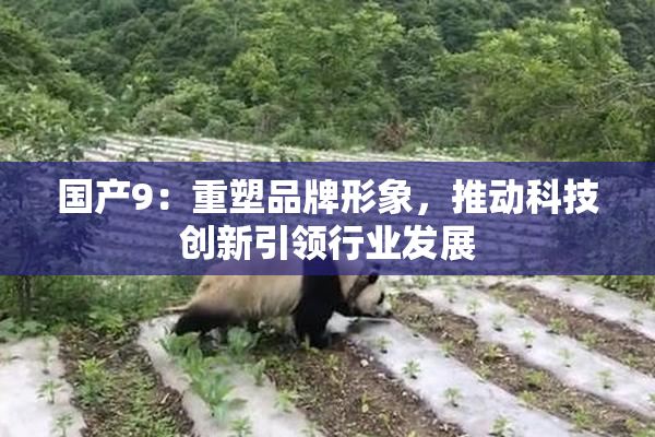 国产9：重塑品牌形象，推动科技创新引领行业发展