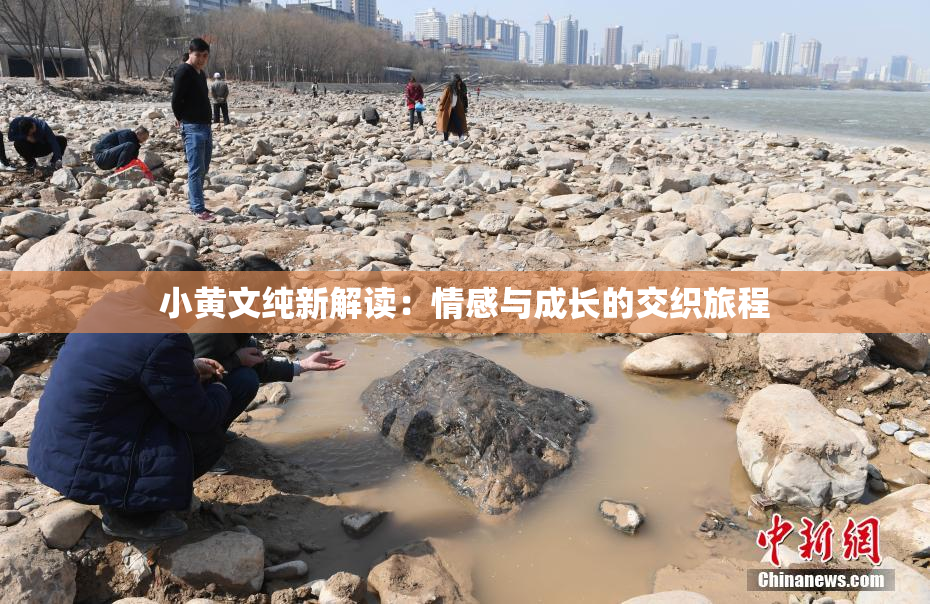 小黄文纯新解读：情感与成长的交织旅程