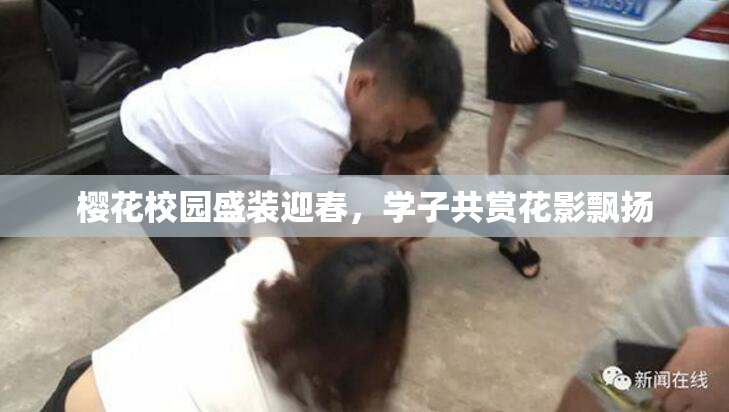 樱花校园盛装迎春，学子共赏花影飘扬