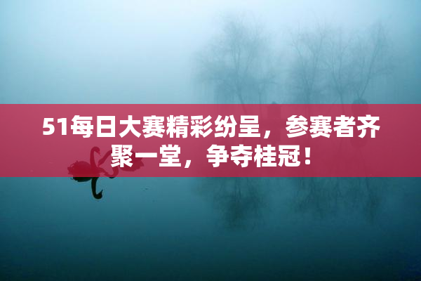 51每日大赛精彩纷呈，参赛者齐聚一堂，争夺桂冠！