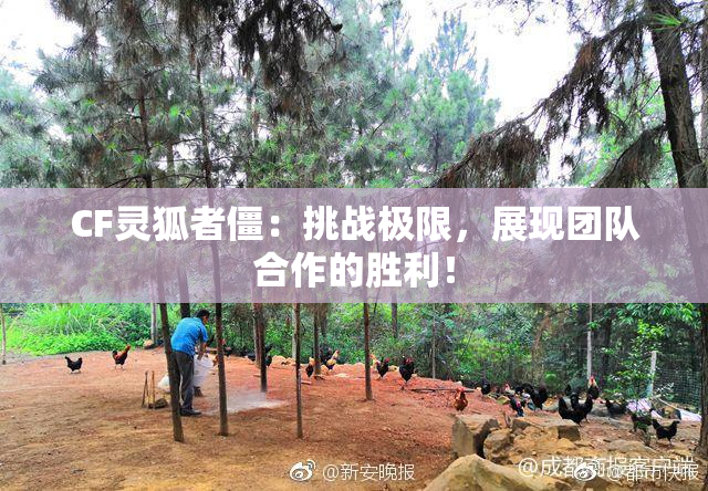 CF灵狐者僵：挑战极限，展现团队合作的胜利！