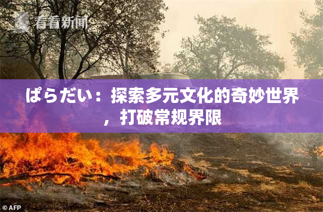 ぱらだい：探索多元文化的奇妙世界，打破常规界限
