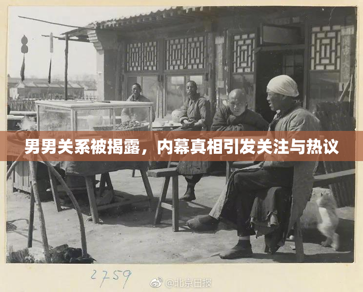 男男关系被揭露，内幕真相引发关注与热议