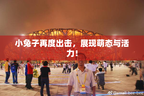 小兔子再度出击，展现萌态与活力！