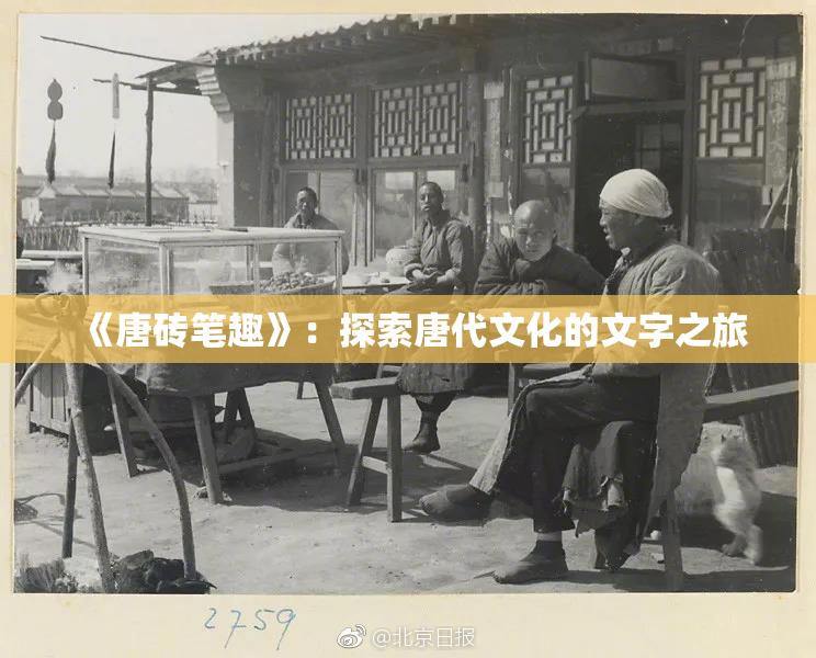 《唐砖笔趣》：探索唐代文化的文字之旅