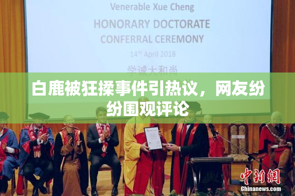 白鹿被狂揉事件引热议，网友纷纷围观评论