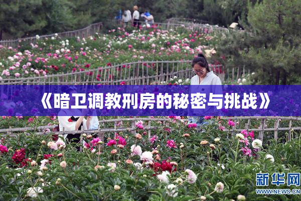 《暗卫调教刑房的秘密与挑战》
