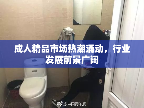 成人精品市场热潮涌动，行业发展前景广阔