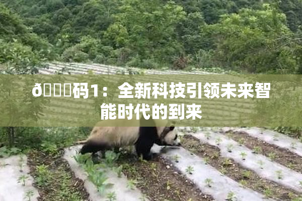 🈚码1：全新科技引领未来智能时代的到来