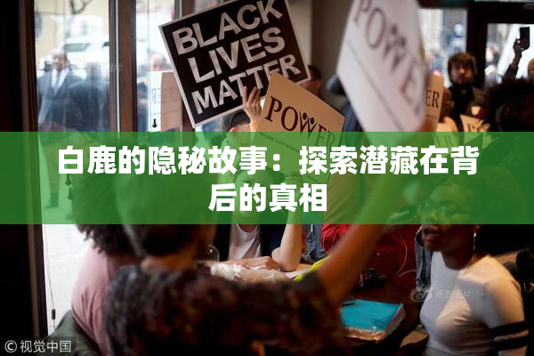 白鹿的隐秘故事：探索潜藏在背后的真相