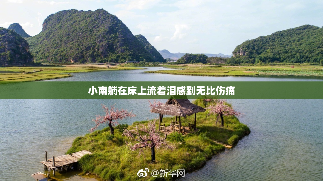 小南躺在床上流着泪感到无比伤痛