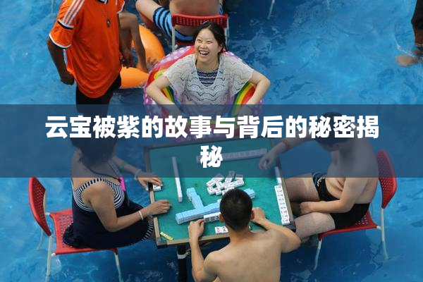 云宝被紫的故事与背后的秘密揭秘