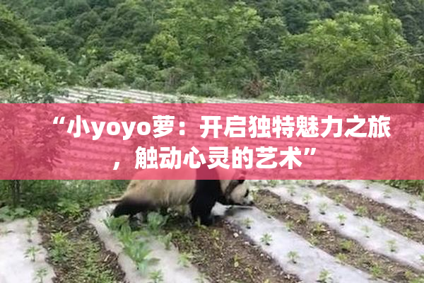 “小yoyo萝：开启独特魅力之旅，触动心灵的艺术”