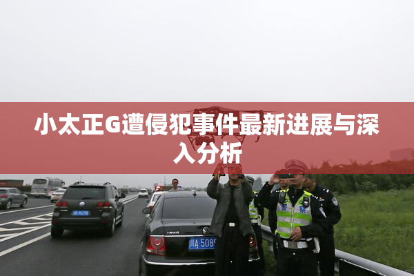 小太正G遭侵犯事件最新进展与深入分析