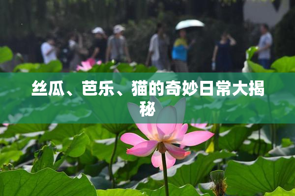 丝瓜、芭乐、猫的奇妙日常大揭秘