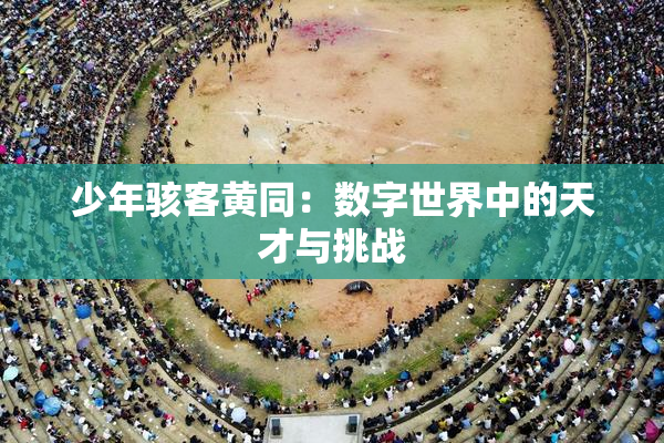 少年骇客黄同：数字世界中的天才与挑战