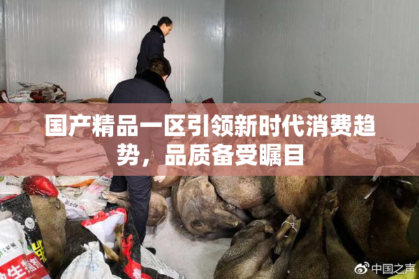 国产精品一区引领新时代消费趋势，品质备受瞩目