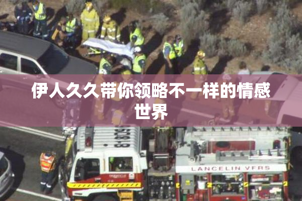 伊人久久带你领略不一样的情感世界