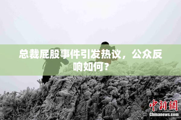 总裁屁股事件引发热议，公众反响如何？