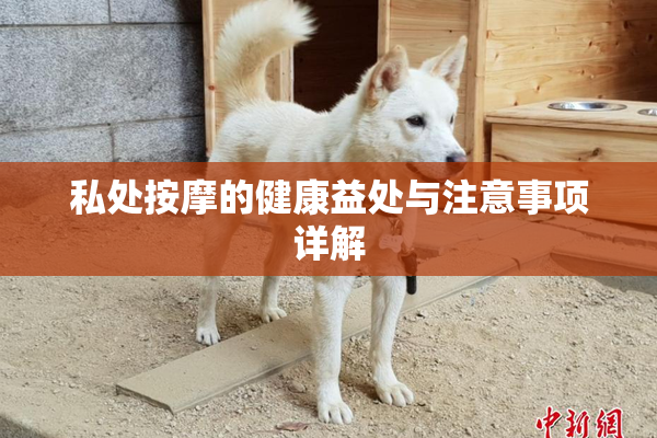 私处按摩的健康益处与注意事项详解