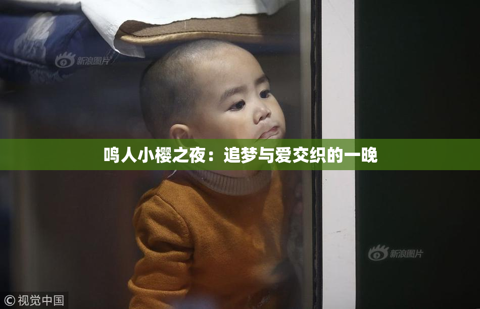 鸣人小樱之夜：追梦与爱交织的一晚