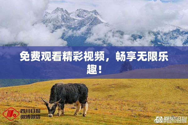 免费观看精彩视频，畅享无限乐趣！