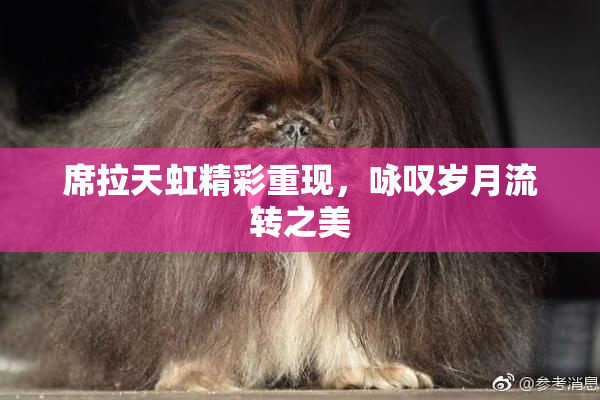 席拉天虹精彩重现，咏叹岁月流转之美