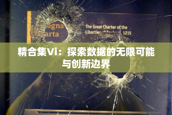 精合集Vi：探索数据的无限可能与创新边界