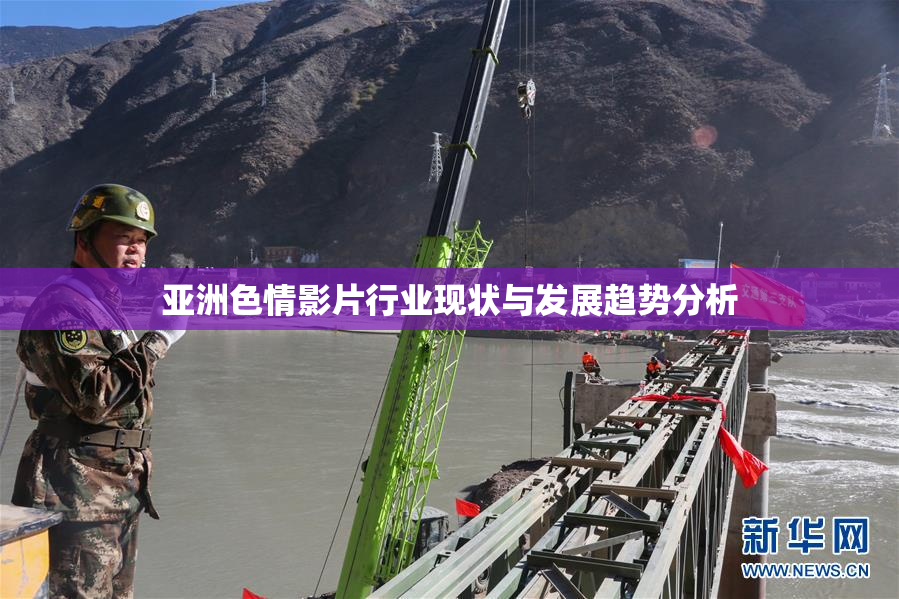 亚洲色情影片行业现状与发展趋势分析