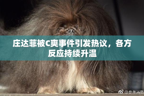 庄达菲被C爽事件引发热议，各方反应持续升温