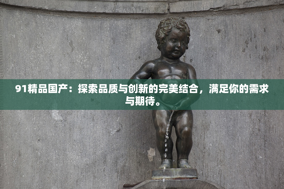 91精品国产：探索品质与创新的完美结合，满足你的需求与期待。