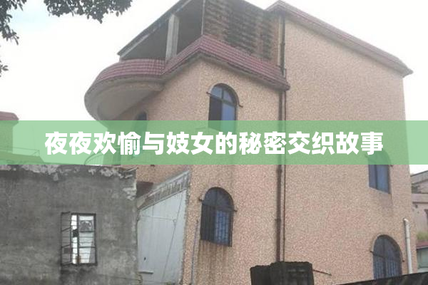 夜夜欢愉与妓女的秘密交织故事