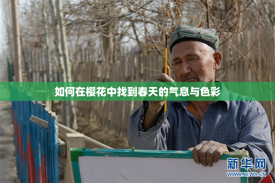 如何在樱花中找到春天的气息与色彩