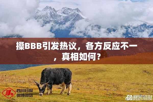 搡BBB引发热议，各方反应不一，真相如何？