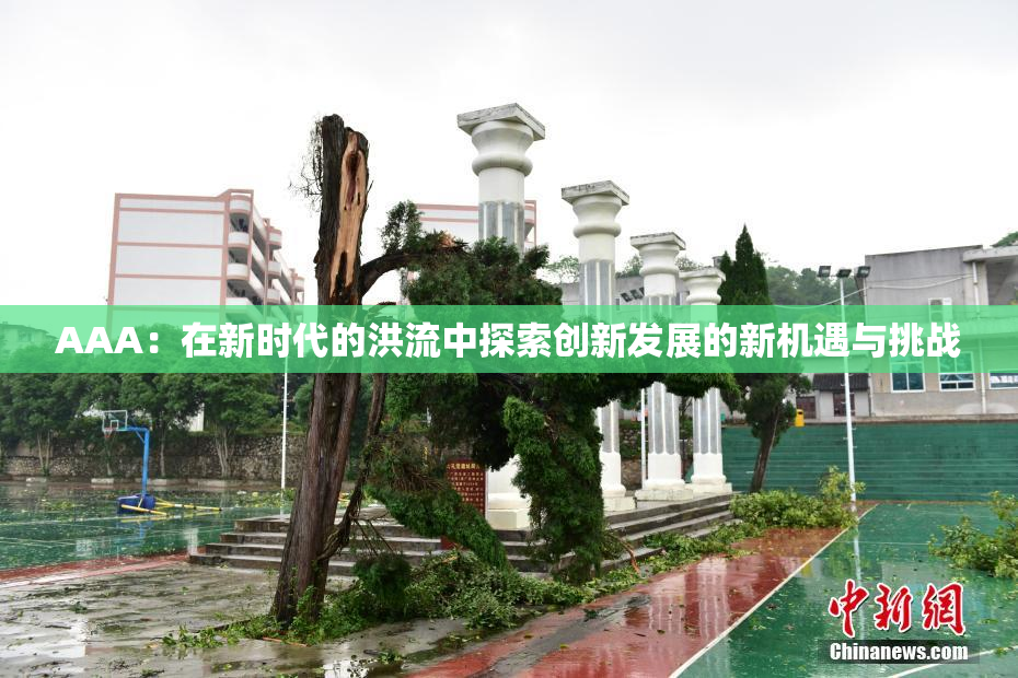 AAA：在新时代的洪流中探索创新发展的新机遇与挑战