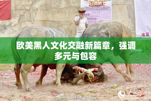 欧美黑人文化交融新篇章，强调多元与包容