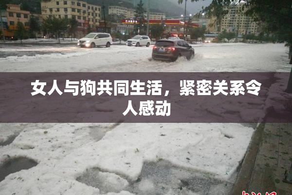 女人与狗共同生活，紧密关系令人感动