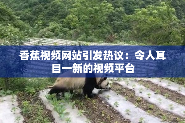 香蕉视频网站引发热议：令人耳目一新的视频平台