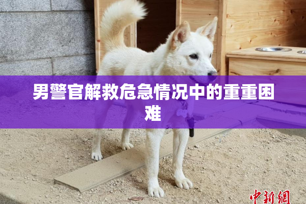 男警官解救危急情况中的重重困难